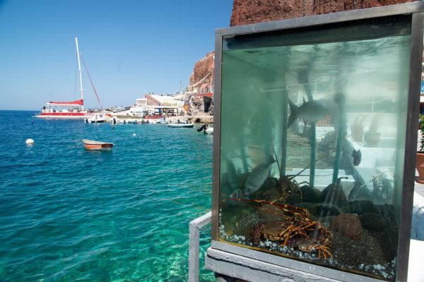 Aquarium