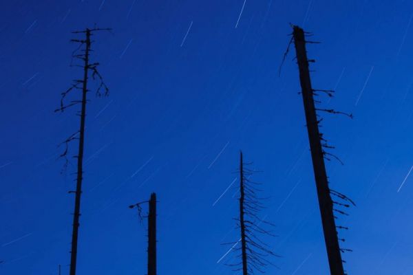 Windbruch bei Nacht
