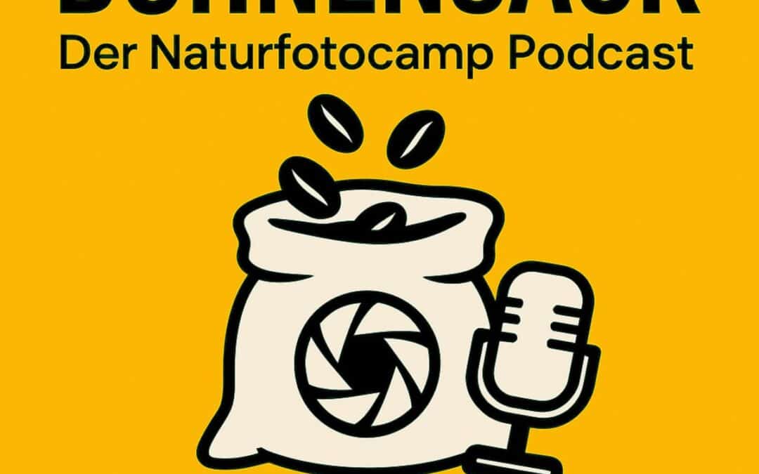 New podcast episode: Camera traps – technology, mistakes and fascination