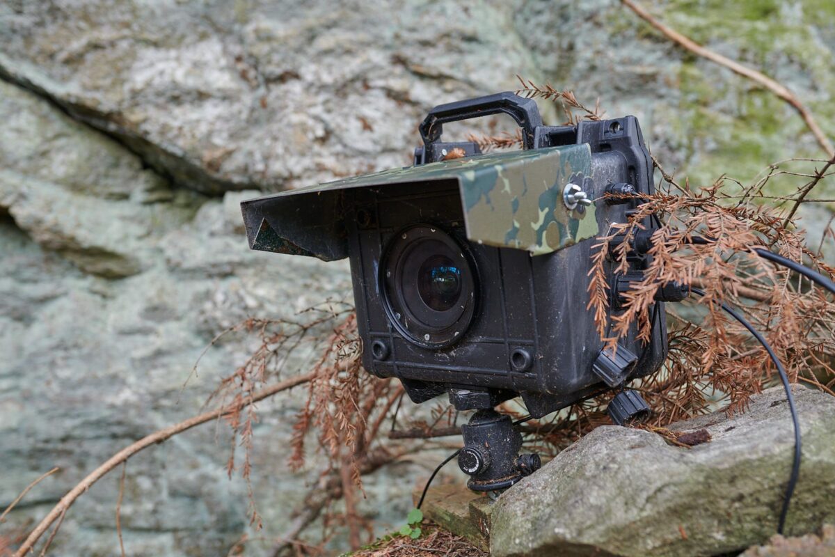 Eine DSLR-Kamerafalle an einem Felsen zur Fotografie von wilden Luchsen.