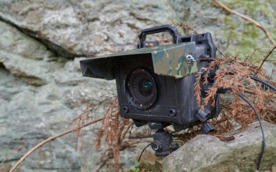Eine DSLR-Kamerafalle an einem Felsen zur Fotografie von wilden Luchsen.