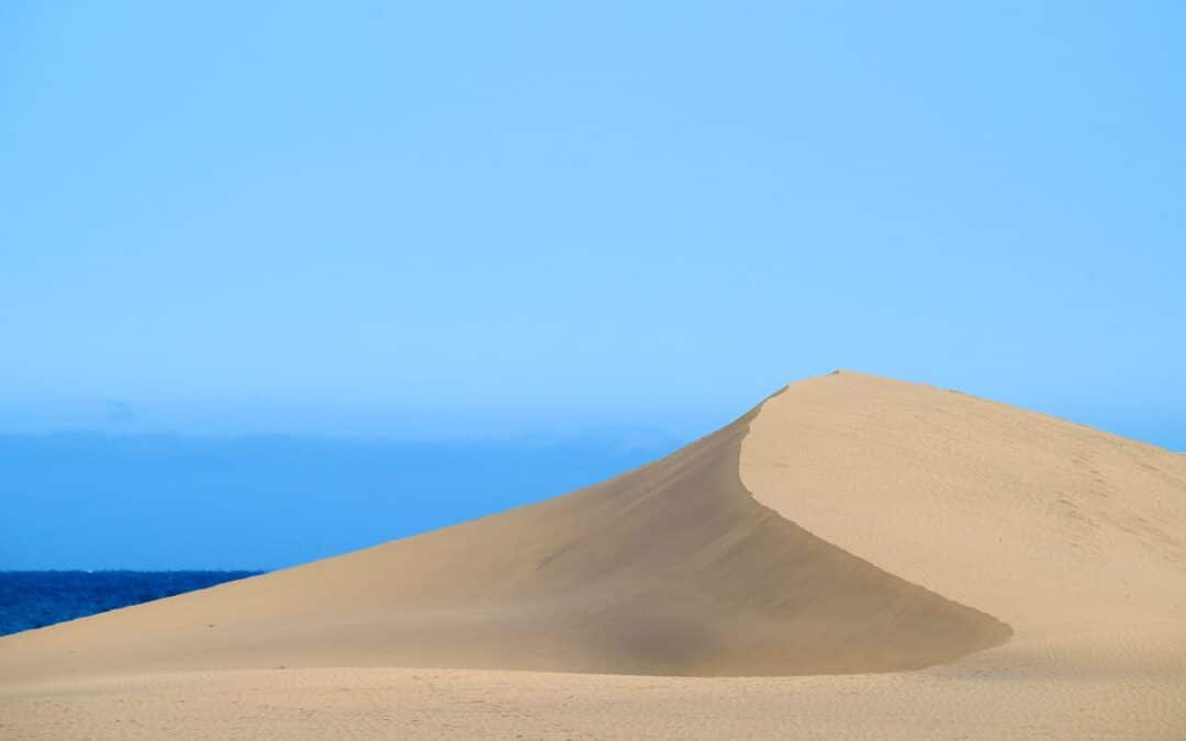 Adventure on Gran Canaria: A trip as a wildlife photographer with the family