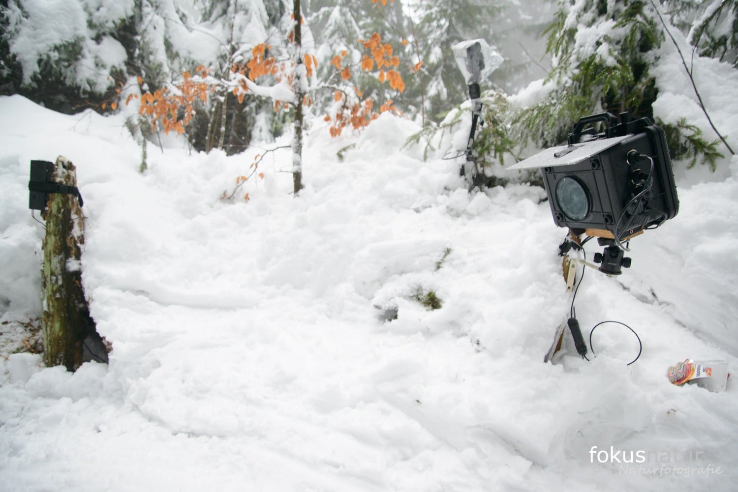 What is a camera trap?