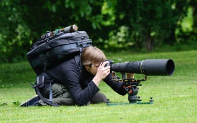 Die richtige Kamera für die Tierfotografie zu finden, ist eine Herausforderung.