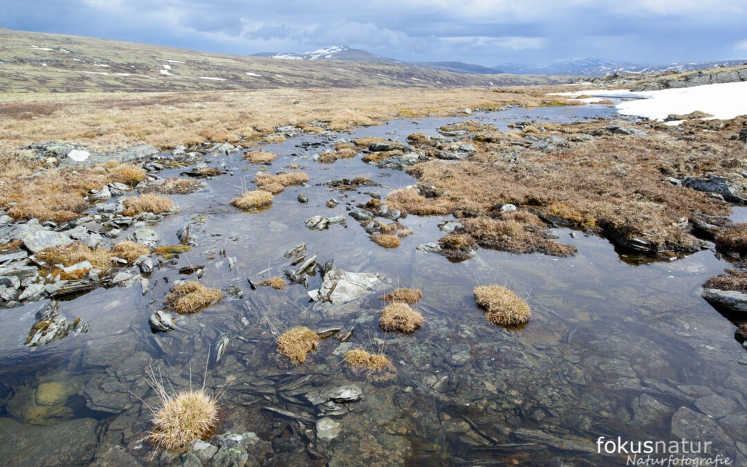 The Ultimate Guide for Nature Photographers: The Best Wild Places in the World (2025)