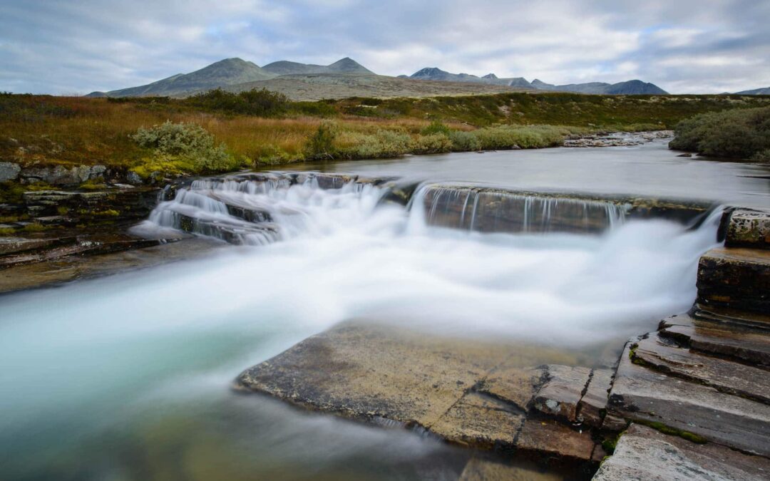 Image composition in nature photography
