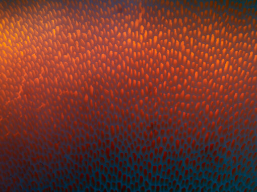 The underside of wonder