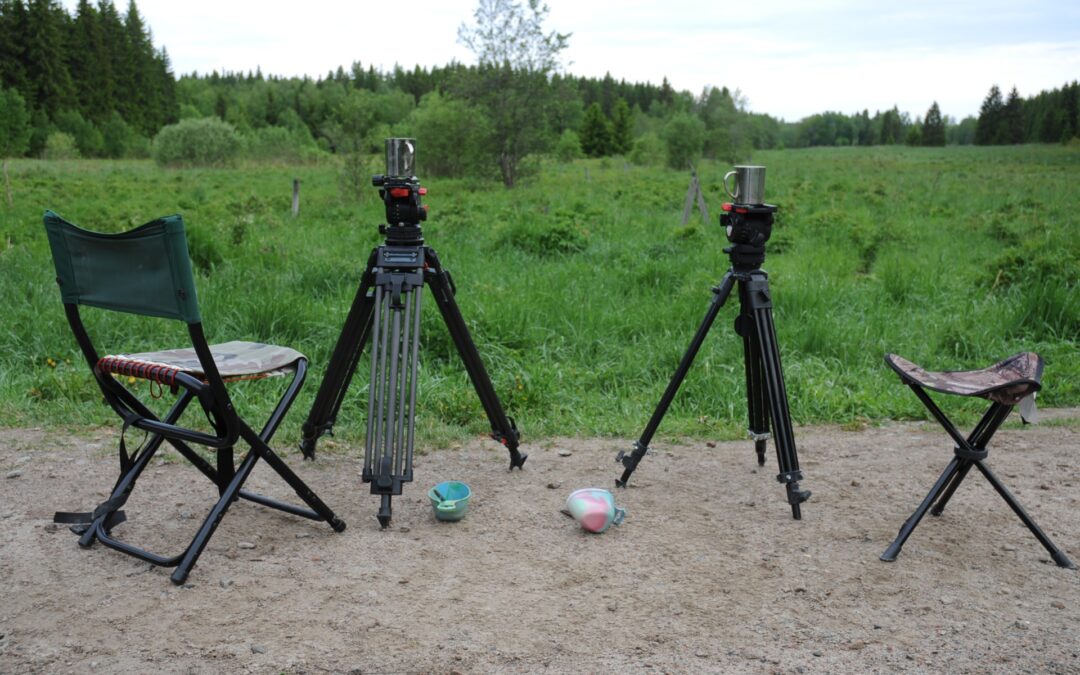Stabilization: beanbag vs. monopod vs. tripod — a practical comparison for long focal lengths